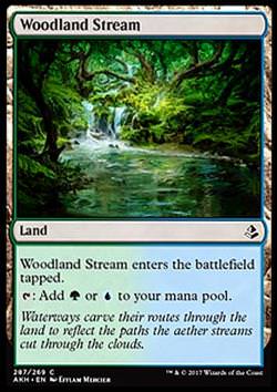 Woodland Stream (Waldlandstrom)